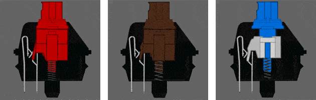mechanical keyboards switch illustration