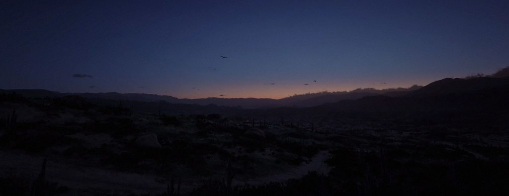 Settings for Red Dead Redemption 2 PC